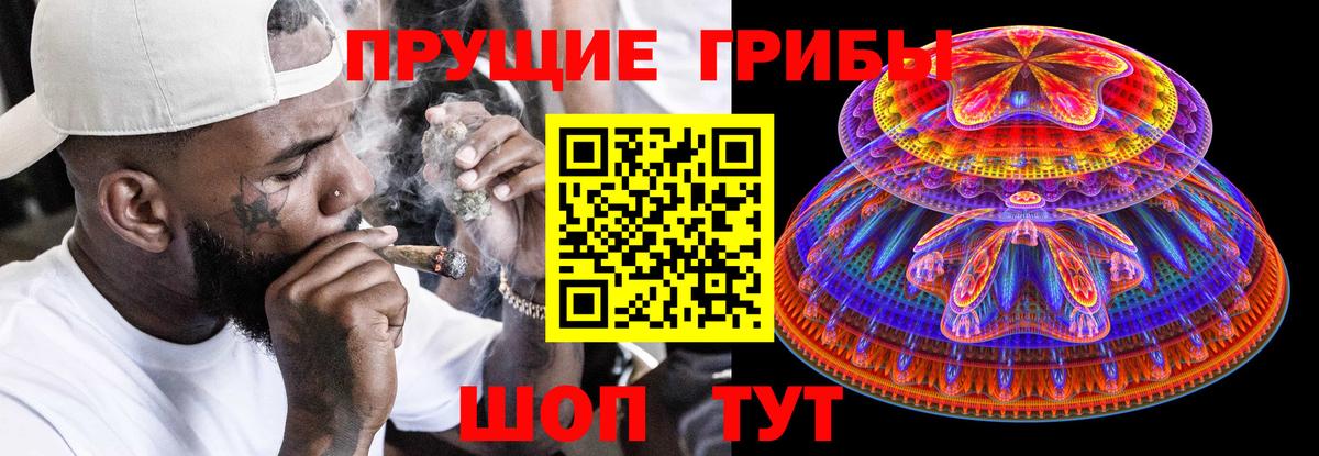 Владивосток  Псилоцибиновые грибы GOLDEN TEACHER  наркошоп  Вход с VPN 